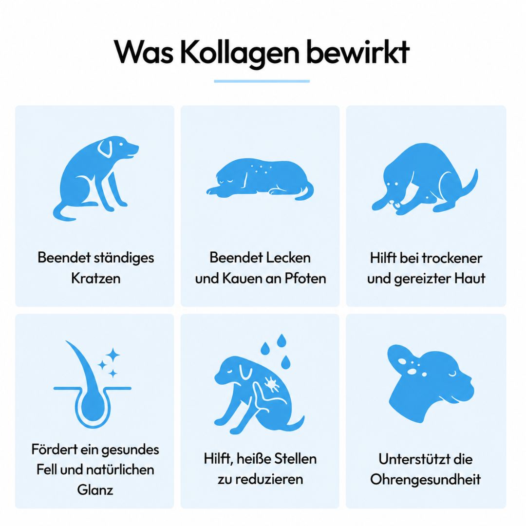 CanWohl Premium Flüssig-Kollagen