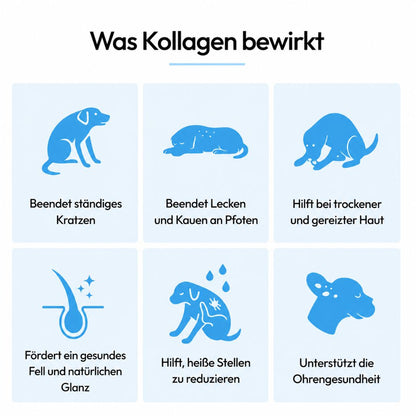 CanWohl Premium Flüssig-Kollagen