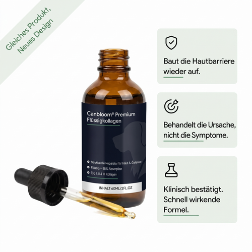 CanWohl Premium Flüssig-Kollagen