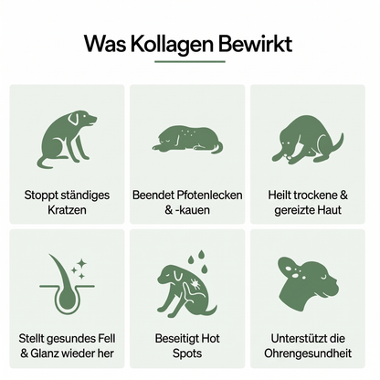 CanWohl Premium Flüssig-Kollagen